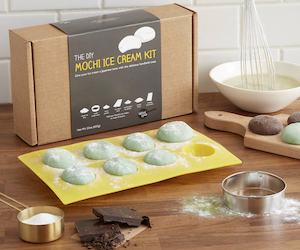 mochi ice cream kit